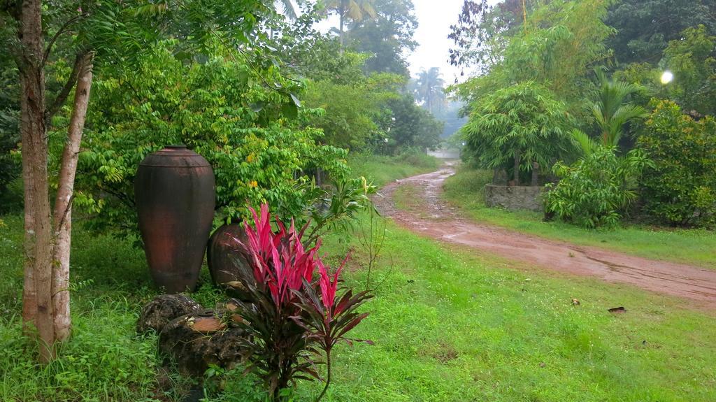 Clayfingers Art Cottage Thrissur 客房 照片