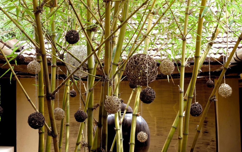 Clayfingers Art Cottage Thrissur 外观 照片