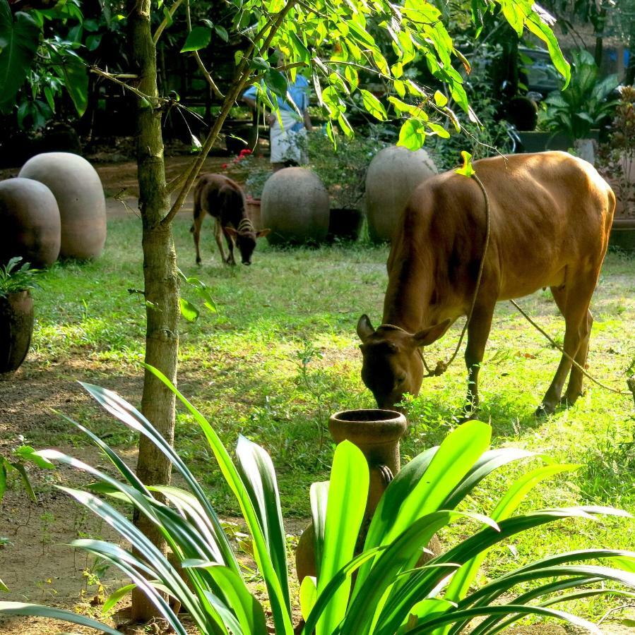 Clayfingers Art Cottage Thrissur 外观 照片